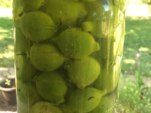green walnuts